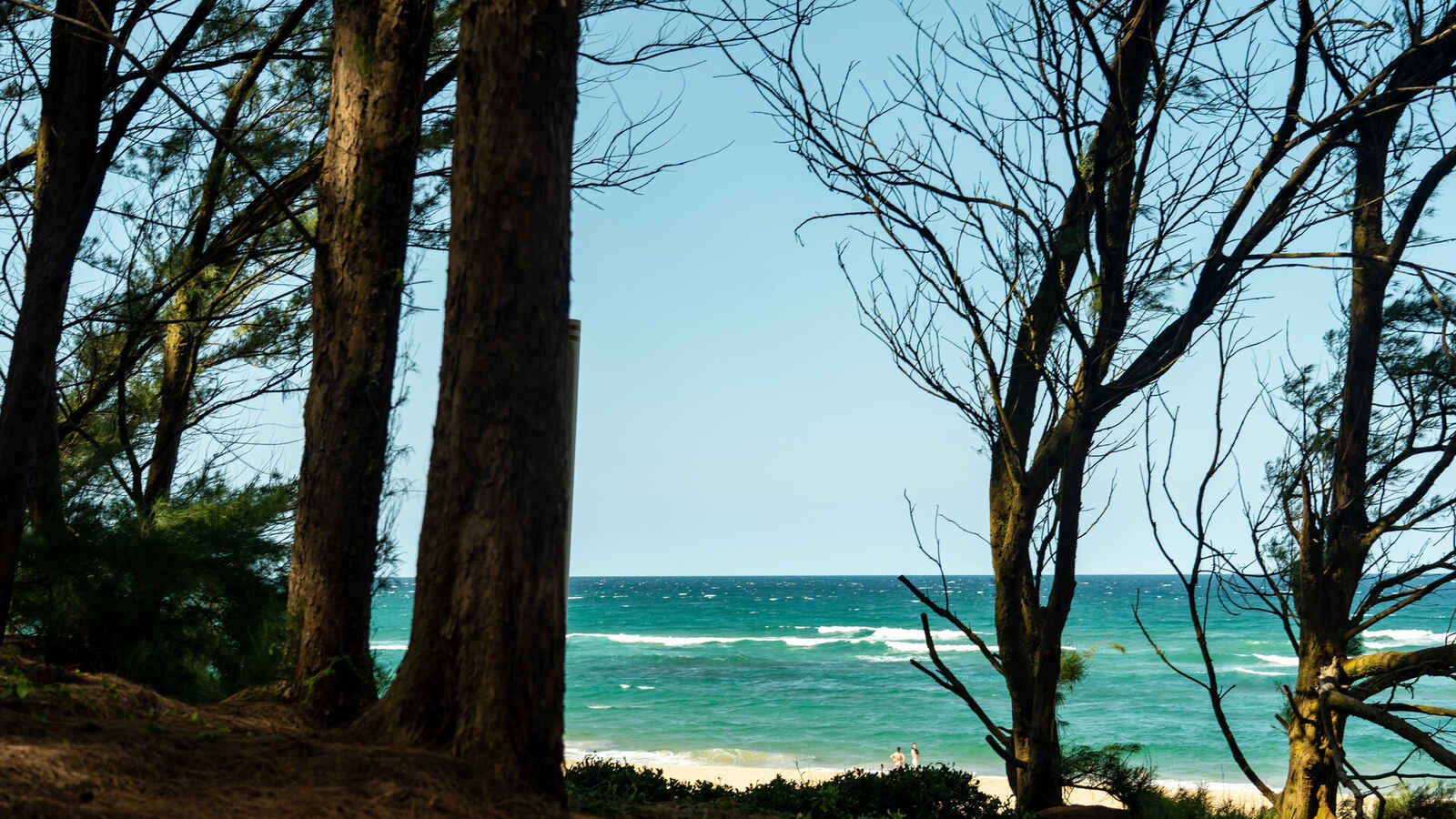 Mission Rocks – Rugged Beauty on the Shore