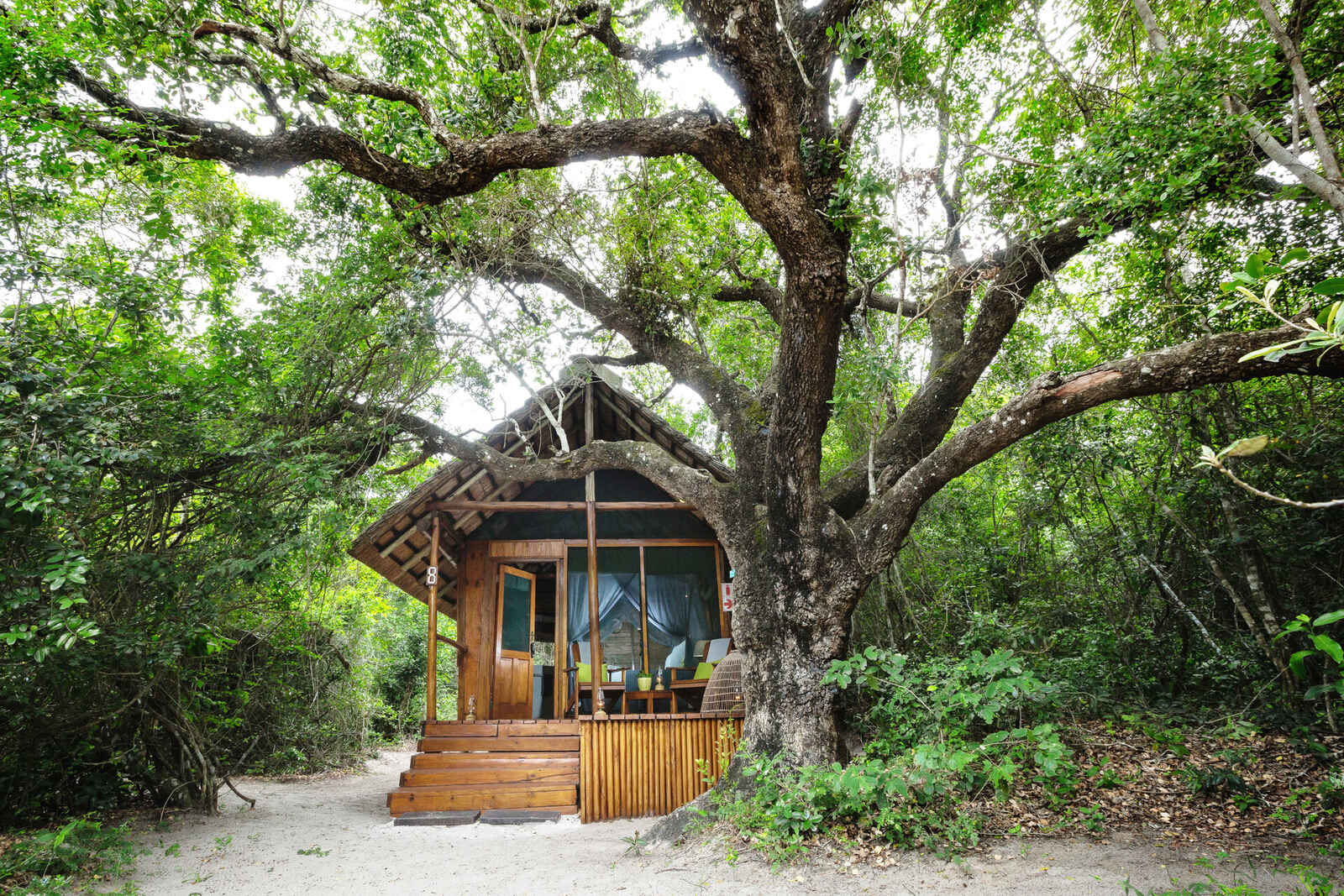 Kosi Forest Lodge