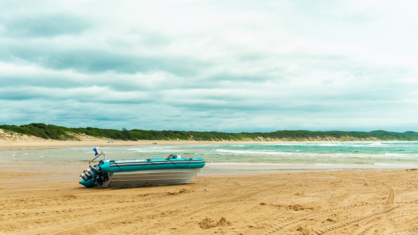 A dive boat drawn up on the sand, with the dune-forest coastline behind