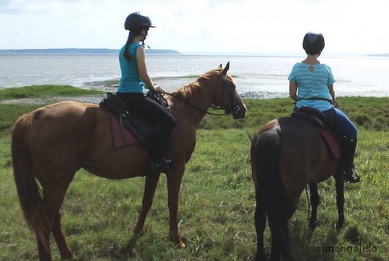 Two riders on horseback on a grassy bank above open water