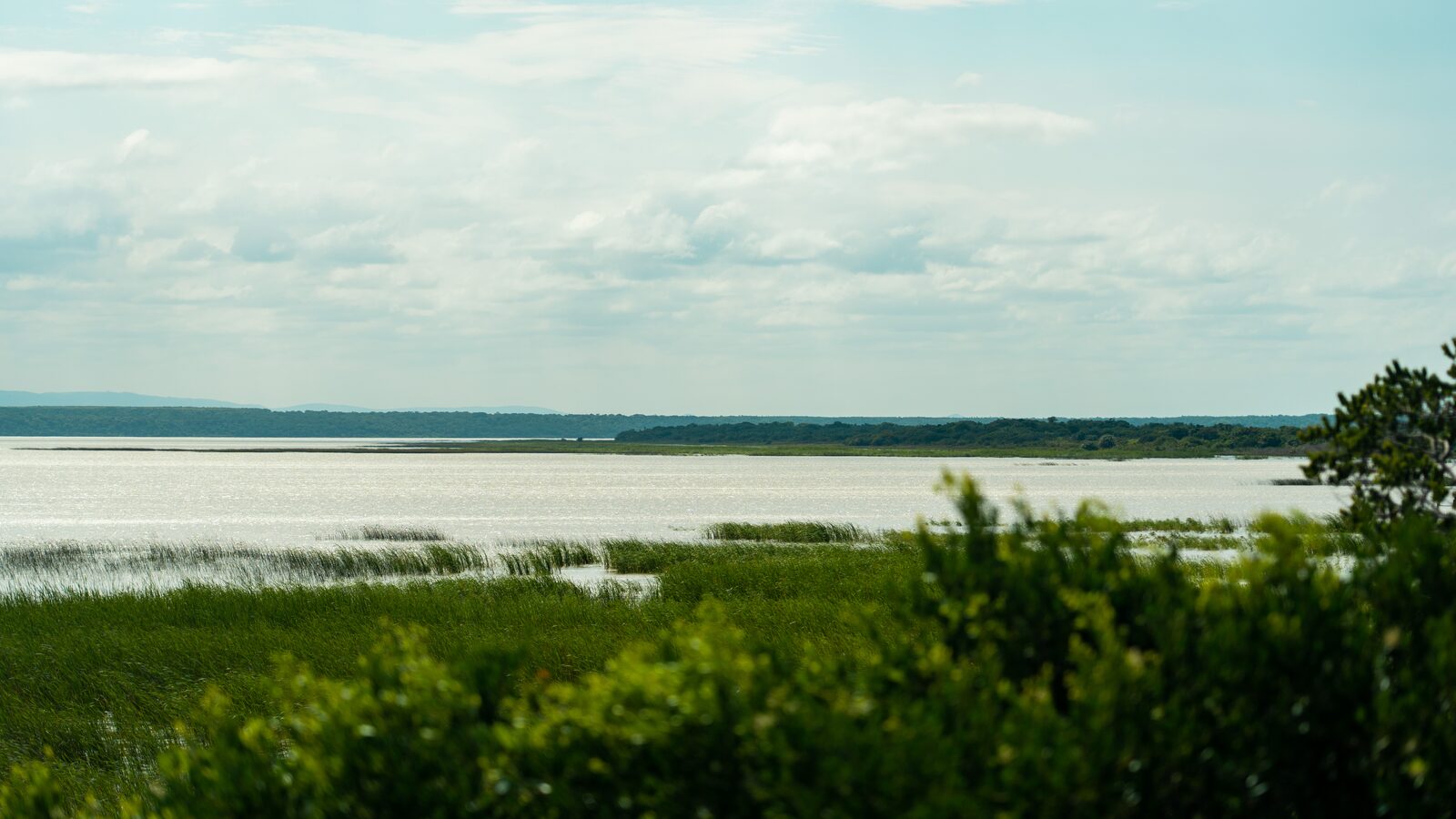 Paddlers on the St Lucia estuary, one of the guided activities local operators run